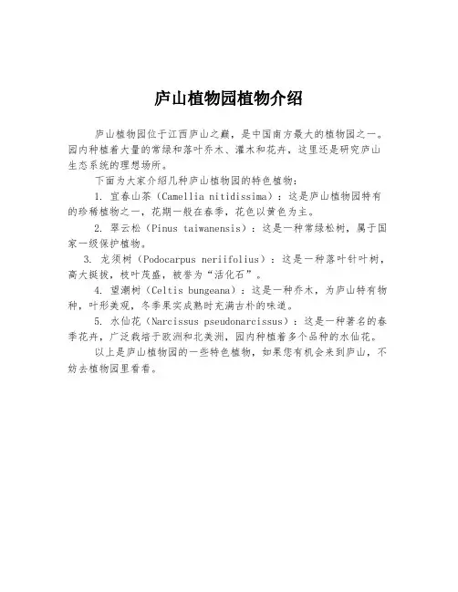 庐山植物园植物介绍