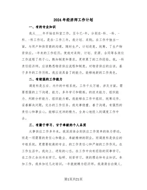 2024年经济师工作计划（7篇）