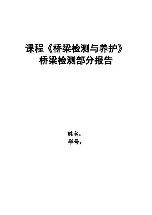 桥梁检测报告