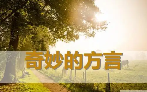 奇妙的方言