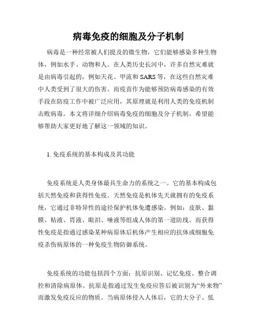 病毒免疫的细胞及分子机制