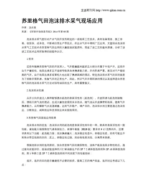 苏里格气田泡沫排水采气现场应用