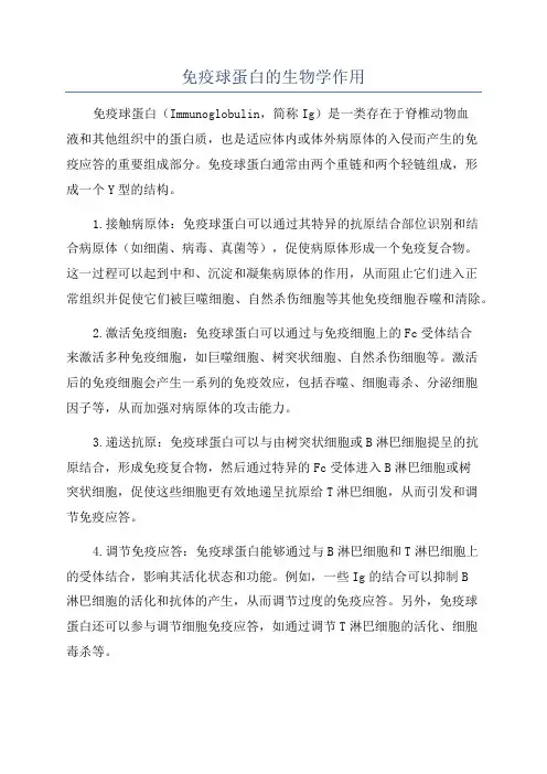 免疫球蛋白的生物学作用