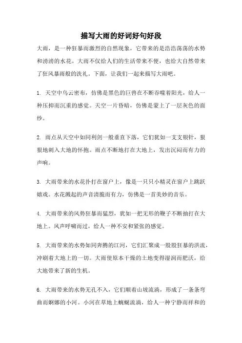 描写大雨的好词好句好段