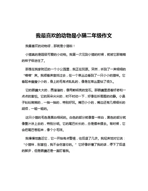 我最喜欢的动物是小猫二年级作文