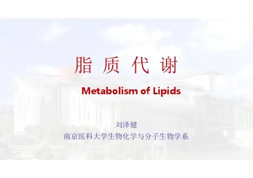 生物化学代谢与营养_3代谢基本原理脂代谢_
