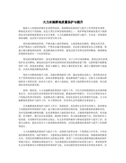 大力实施耕地质量保护与提升