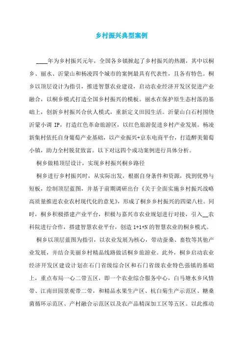 乡村振兴典型案例