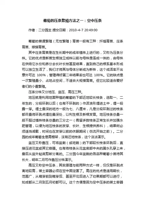 葡萄的压条繁殖方法之一：空中压条