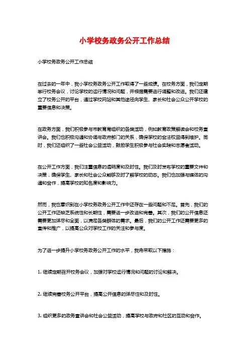 小学校务政务公开工作总结