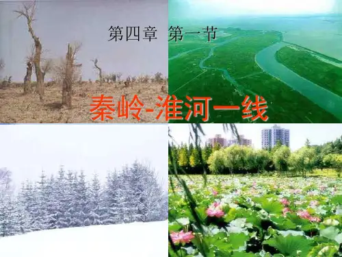 地理八上《秦岭淮河线》