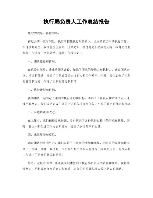 执行局负责人工作总结报告