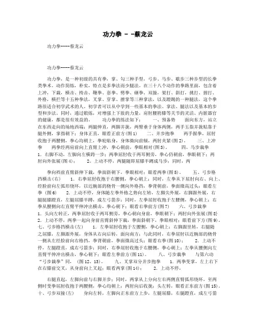 功力拳 - -蔡龙云