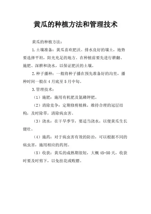 黄瓜的种植方法和管理技术