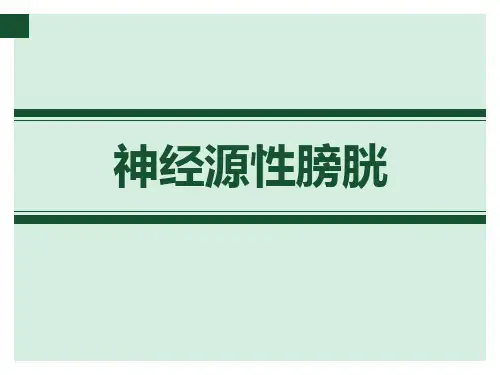 神经源性膀胱