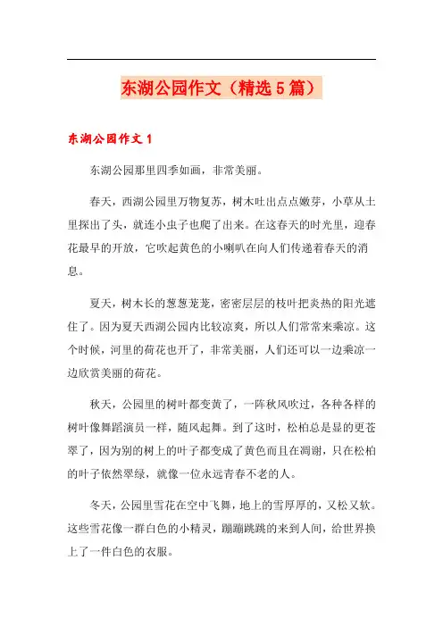 东湖公园作文(精选5篇)