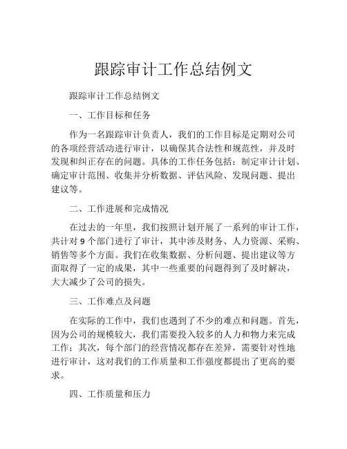 跟踪审计工作总结例文