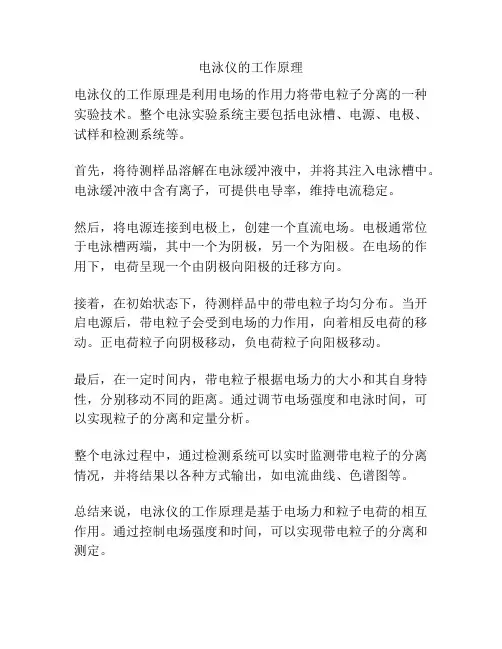 电泳仪的工作原理