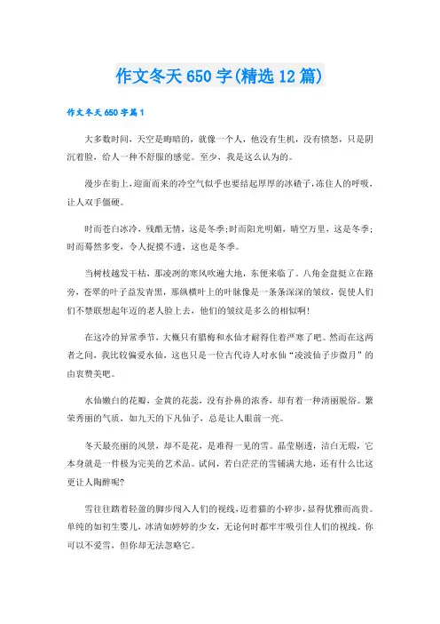 作文冬天650字(精选12篇).doc