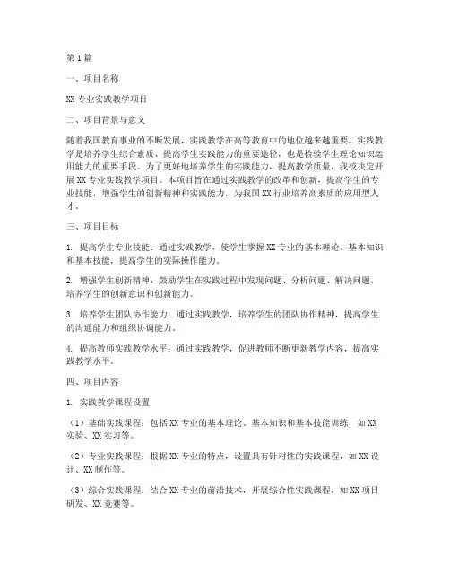 实践教学项目申报书(3篇)