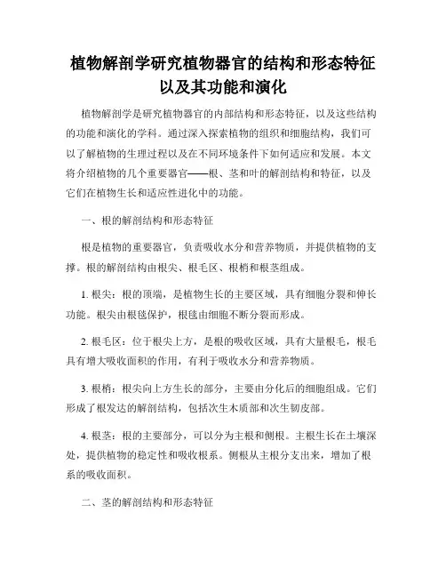 植物解剖学研究植物器官的结构和形态特征以及其功能和演化