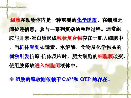 外周神经系统药物