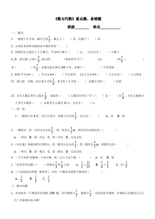 《数与代数》重点易错题