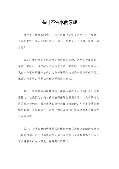 荷叶不沾水的原理