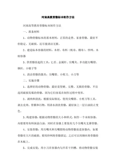 河南高教骨骼标本制作方法