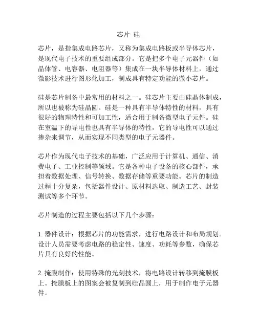 芯片  硅