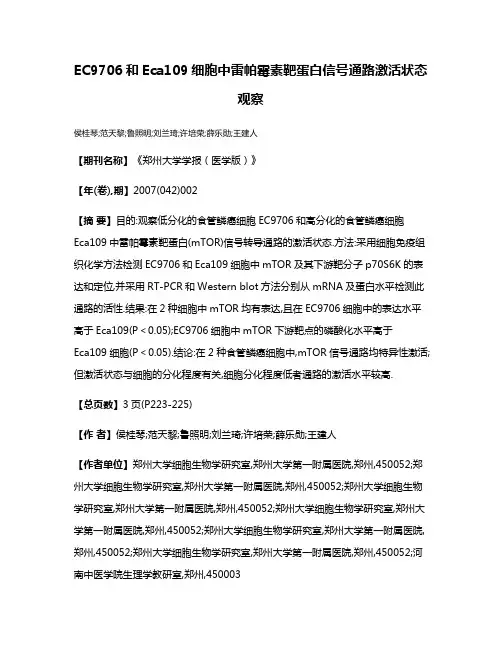 EC9706和Eca109细胞中雷帕霉素靶蛋白信号通路激活状态观察