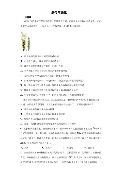 浙江省中考科学专题练习：遗传与进化(含解析)