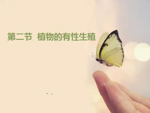 《植物的有性生殖》PPT课件