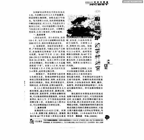 加洲鲈的苗种培育