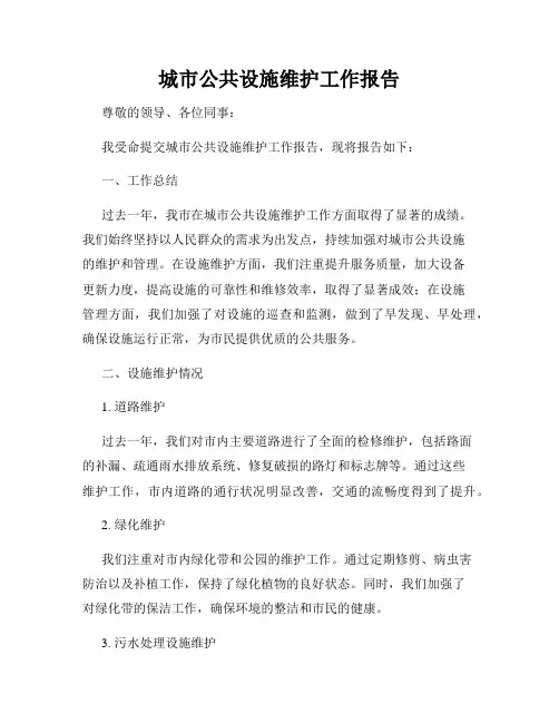 城市公共设施维护工作报告