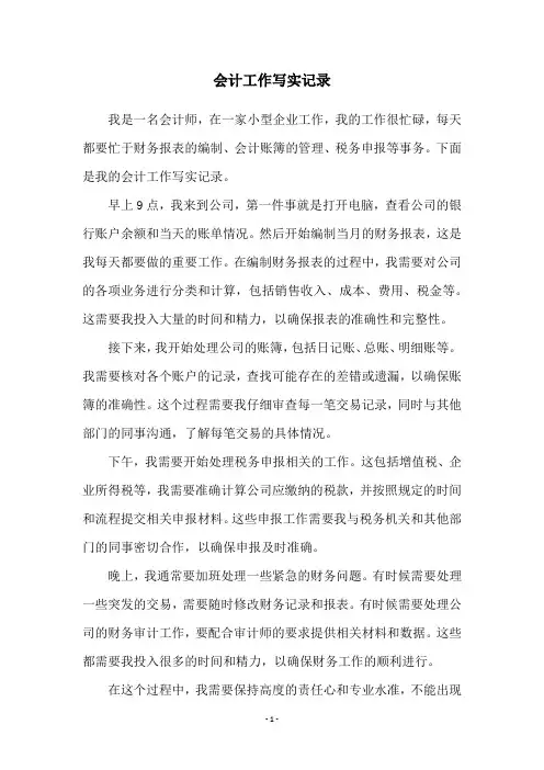 会计工作写实记录