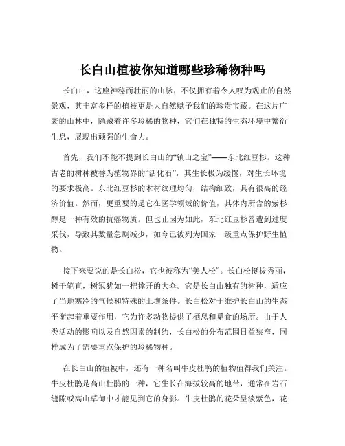 长白山植被你知道哪些珍稀物种吗