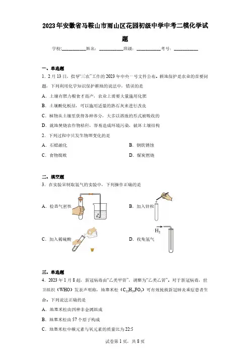 2023年安徽省马鞍山市雨山区花园初级中学中考二模化学试题(含解析)