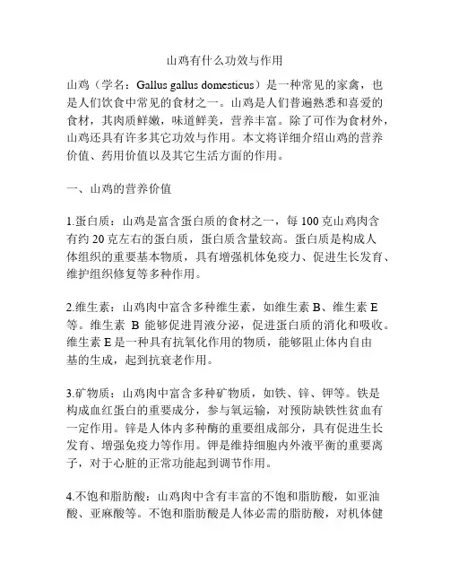 山鸡有什么功效与作用