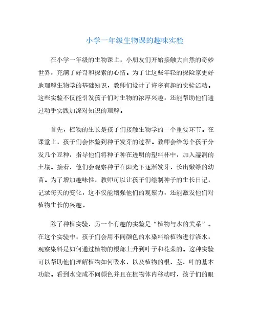 小学一年级生物课的趣味实验