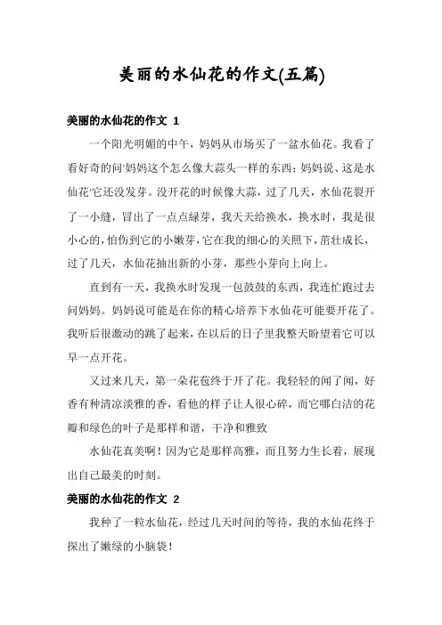 美丽的水仙花的作文(五篇)