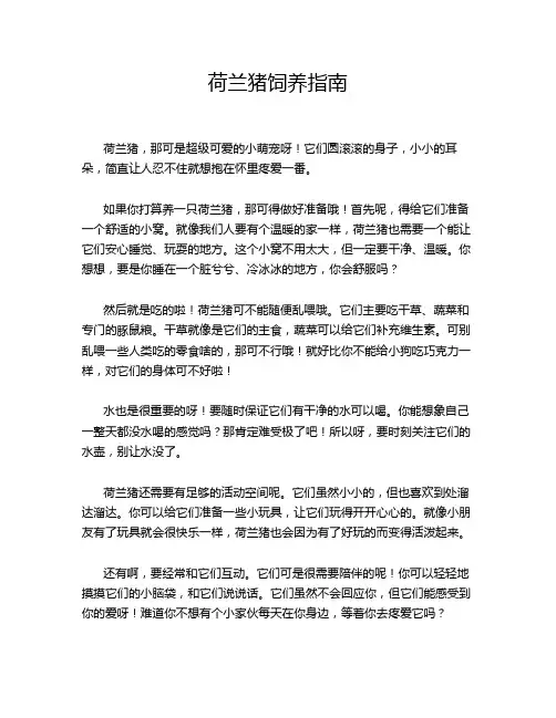 荷兰猪饲养指南