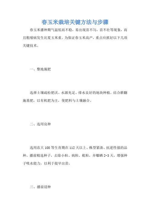 春玉米栽培关键方法与步骤