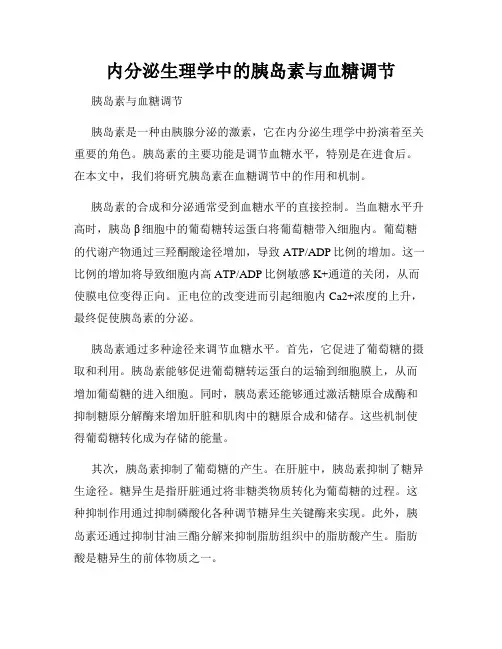 内分泌生理学中的胰岛素与血糖调节