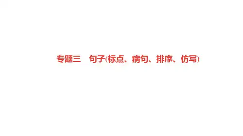 部编人教版七年级语文下册作业课件 期末专题复习 专题三 句子(标点、病句、排序、仿写)