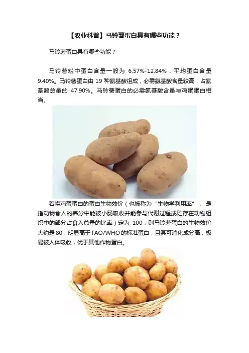 【农业科普】马铃薯蛋白具有哪些功能？