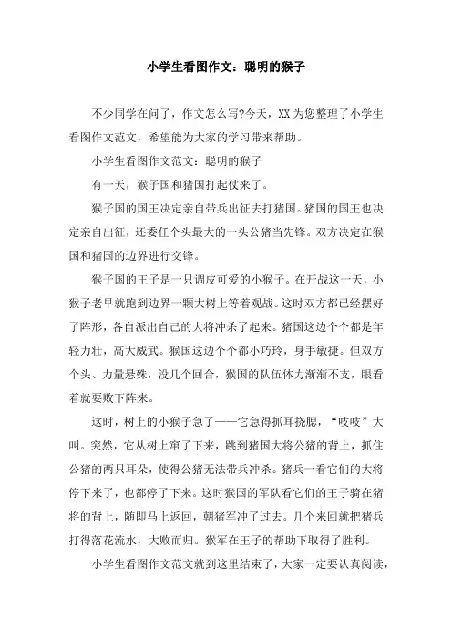 小学生看图作文：聪明的猴子