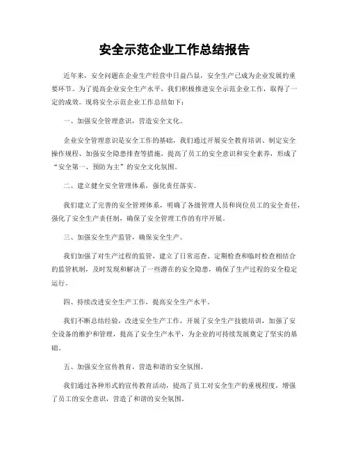 安全示范企业工作总结报告