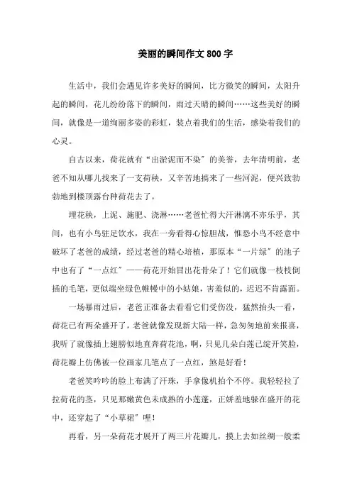 美丽的瞬间作文800字精选