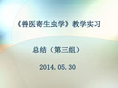 《兽医寄生虫学》教学实习第三组-总结
